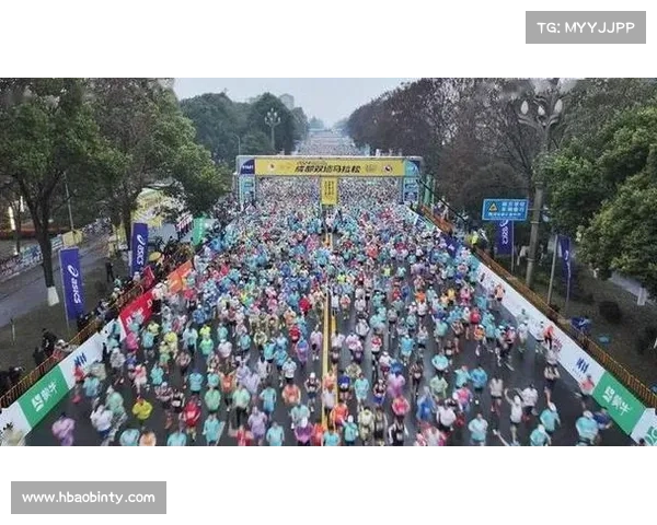 赛事类别有哪些